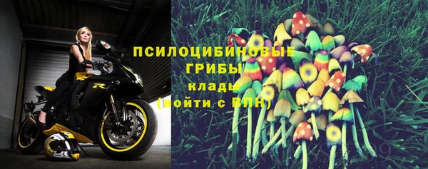 СК Касимов