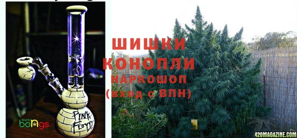 СК Касимов