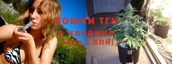 СК Касимов