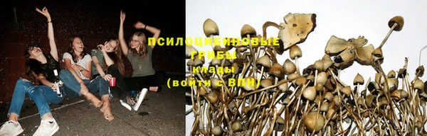 каннабис Карталы
